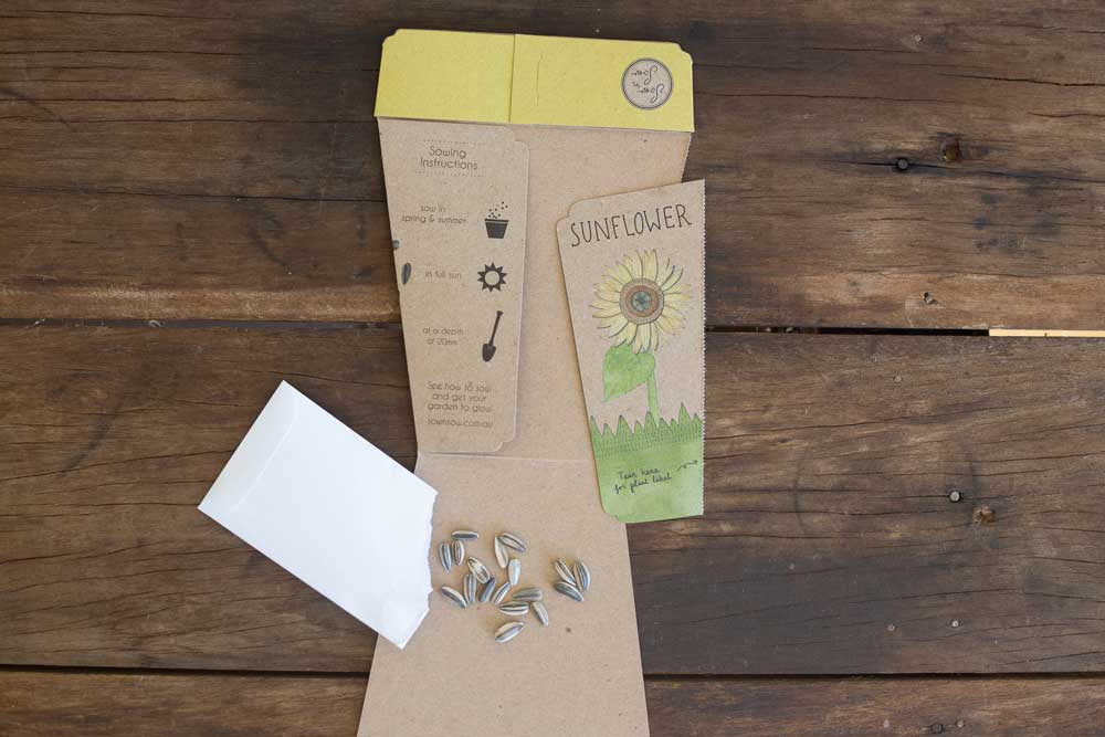 Sunflower - Gift of Seeds