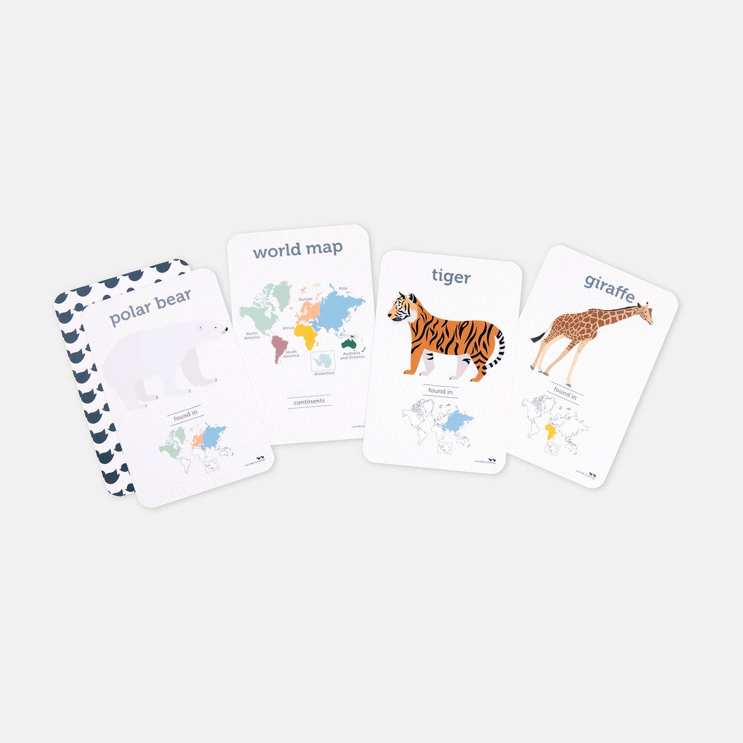 World Animals - Flash Cards