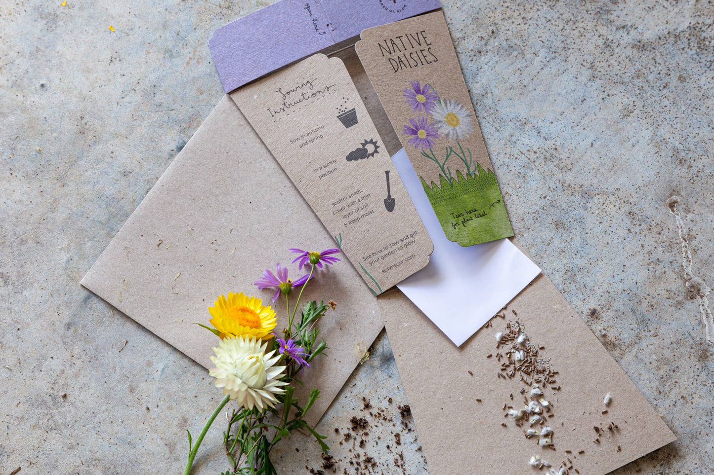 Native Daisies - Gift of Seeds