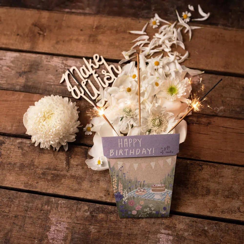 Happy Birthday Picnic - Gift of Seeds