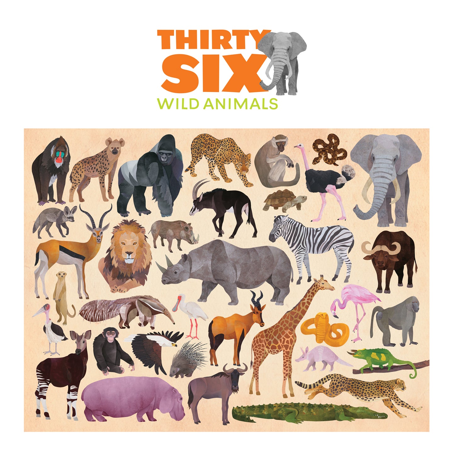 Crocodile Creek - 36 Animal Puzzle 100 pc - Wild Animals