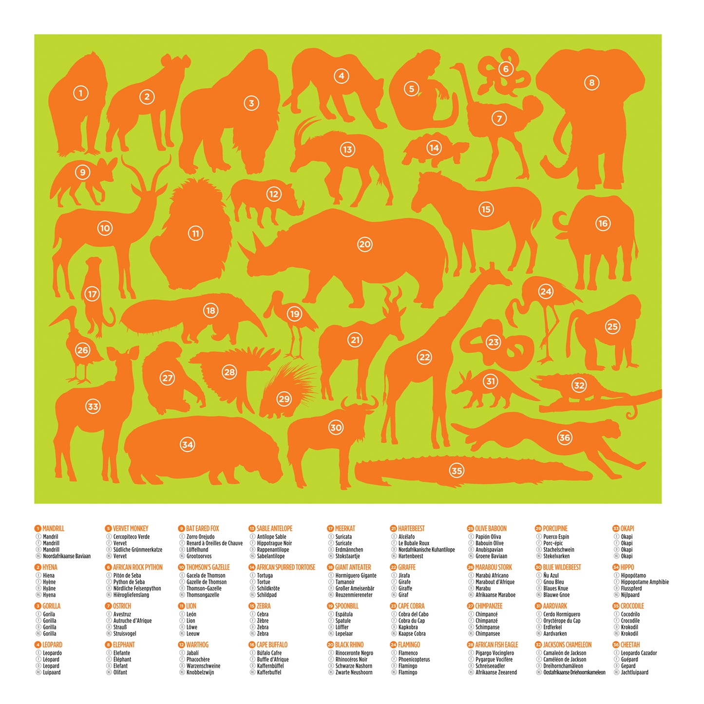 Crocodile Creek - 36 Animal Puzzle 100 pc - Wild Animals