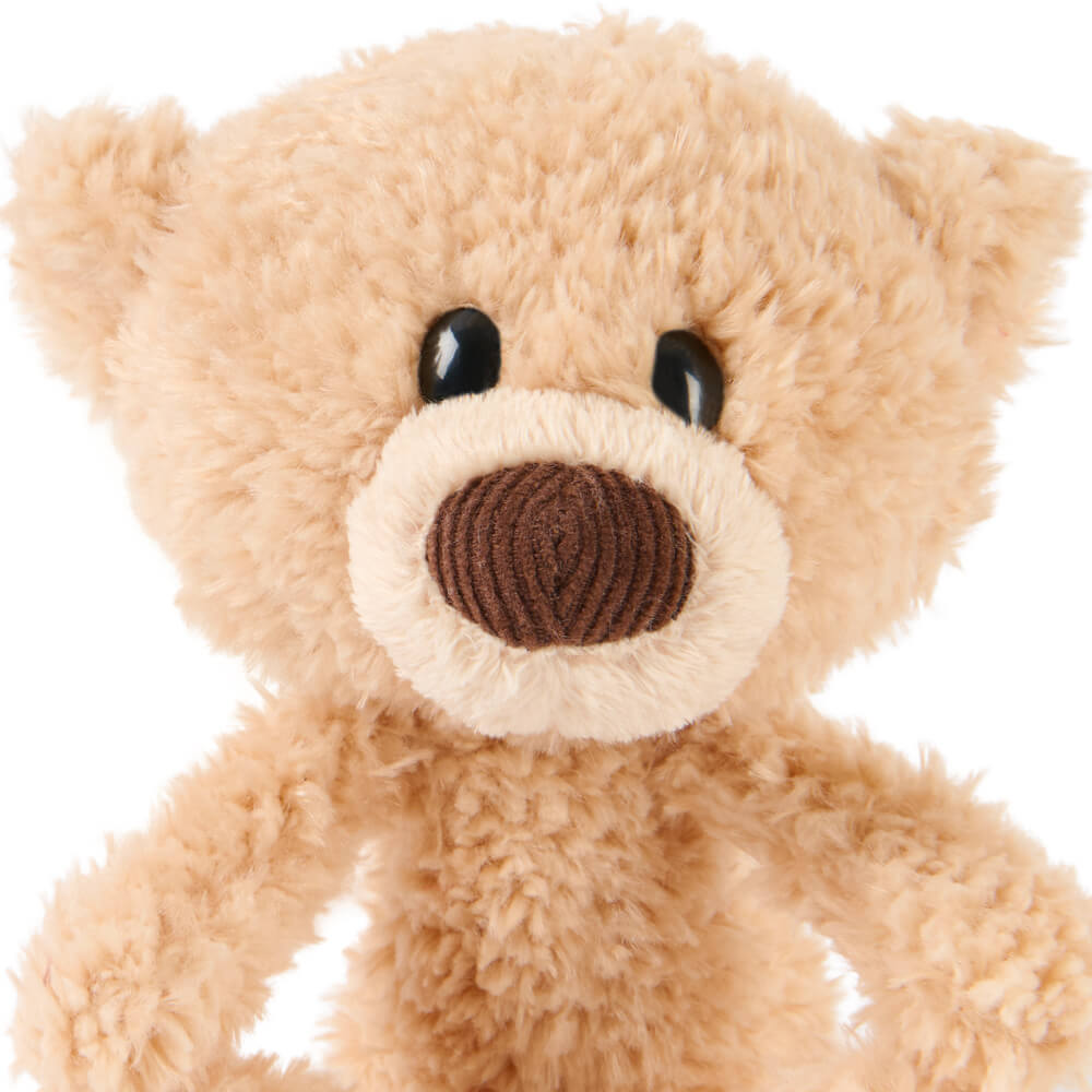 Close-up of a beige teddy bear with a brown nose on a white background