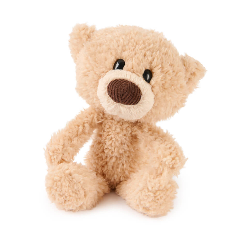Plush teddy bear on a white background