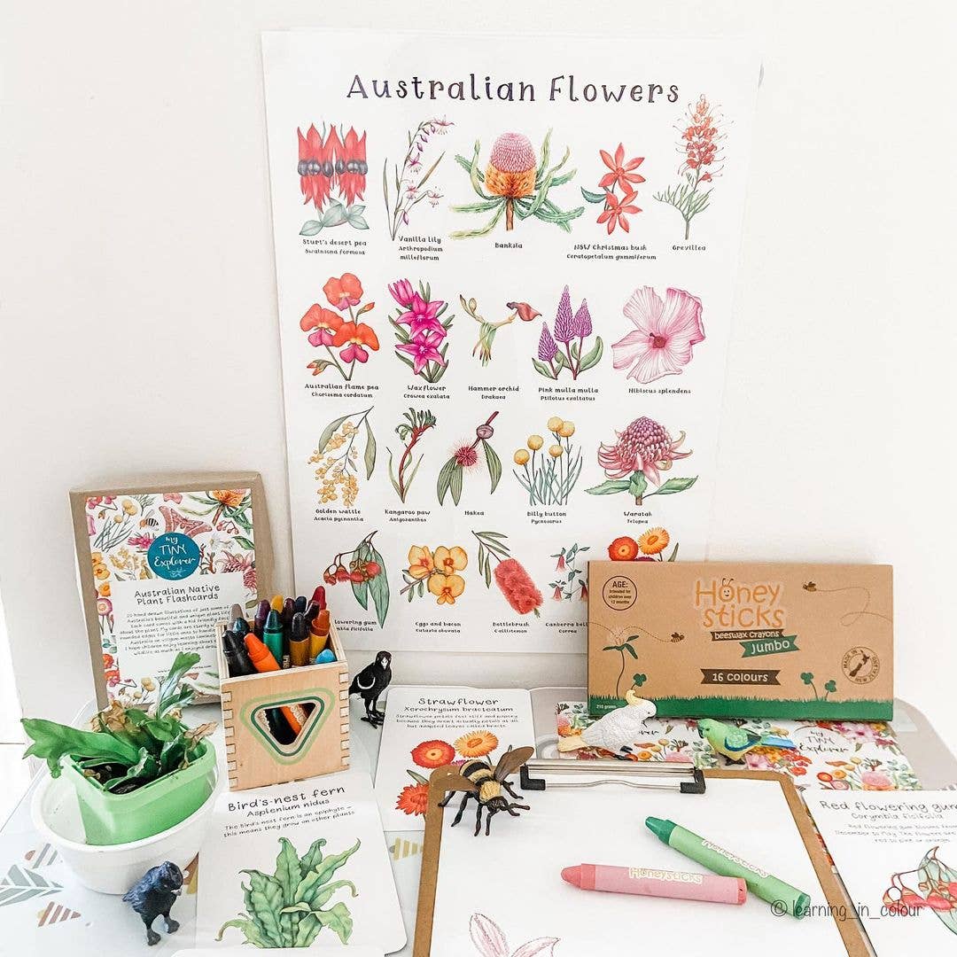 Educational materials about Australian flowers on a table.