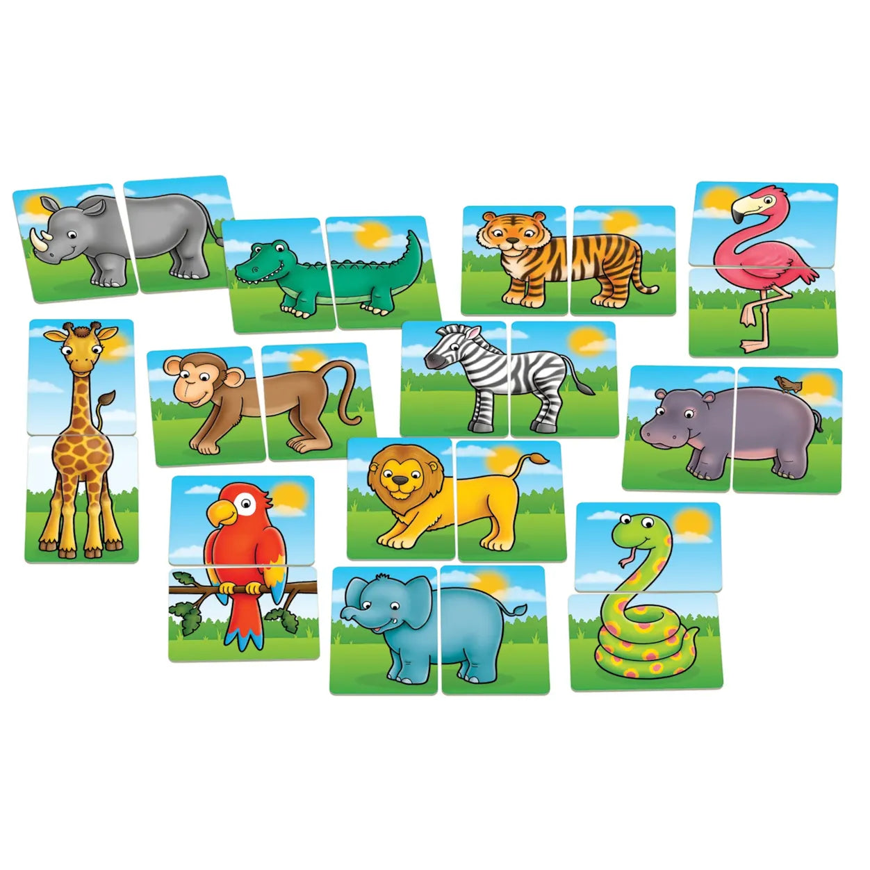 Set of animal cards with illustrations on a white background