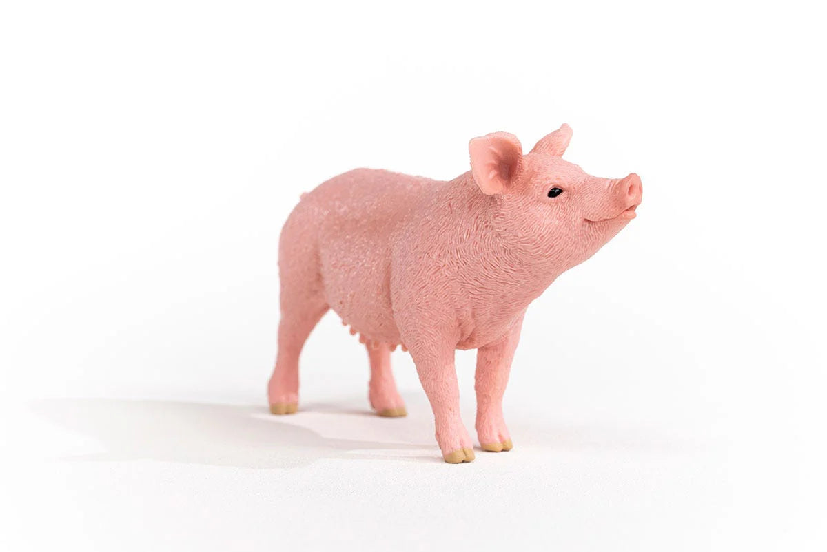 Pink pig figurine on a white background
