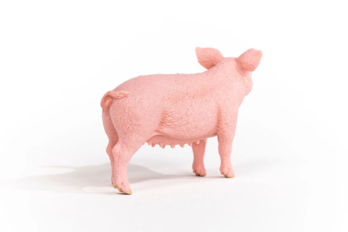 Pink pig figurine on a white background