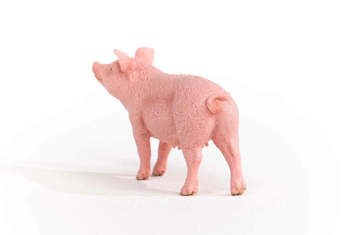 Pink pig figurine on a white background