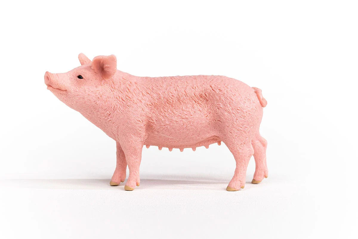 Pink pig figurine on a white background