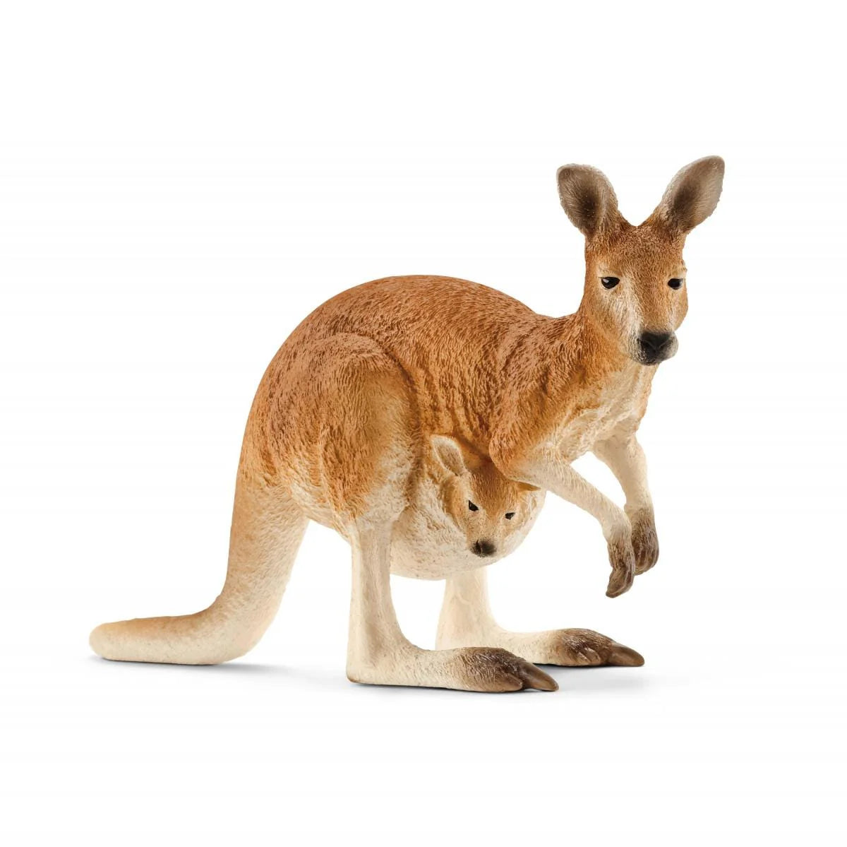 Model of a kangaroo with a joey inside on a white background