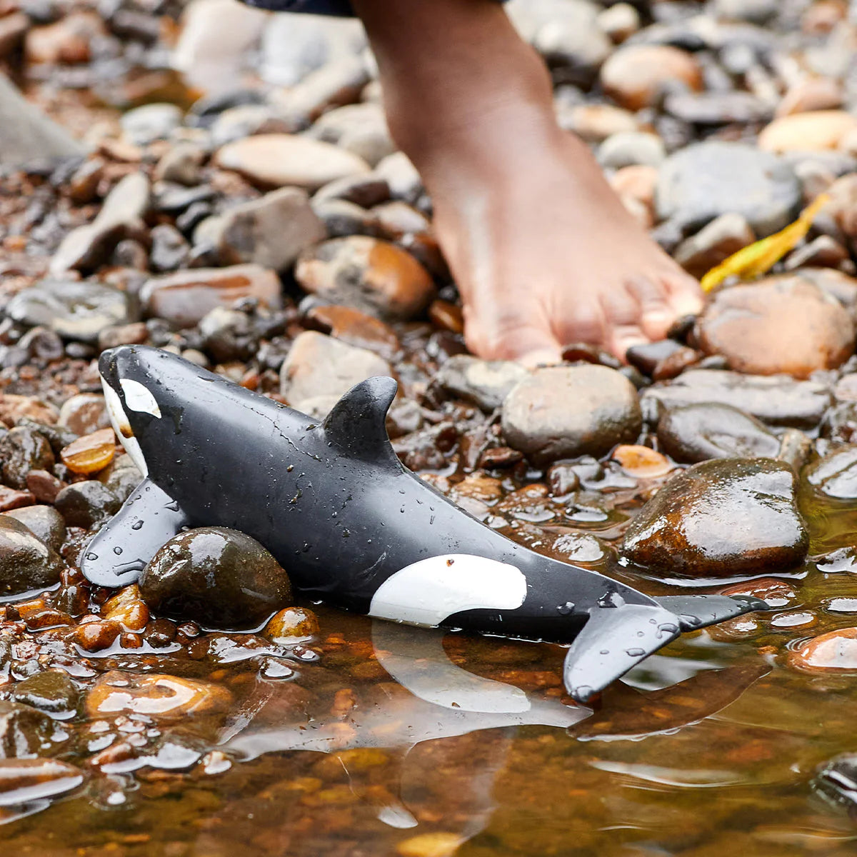 Toy whale on a pebbly beach with water and foot in the background