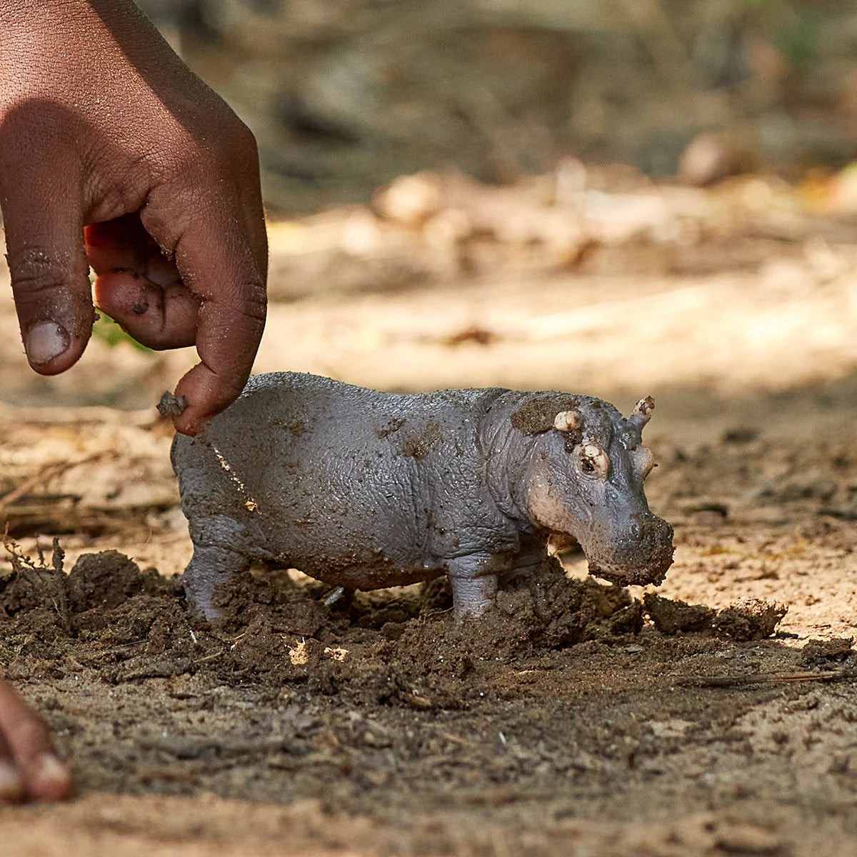 Small hippo being petted by a hand in a natural setting