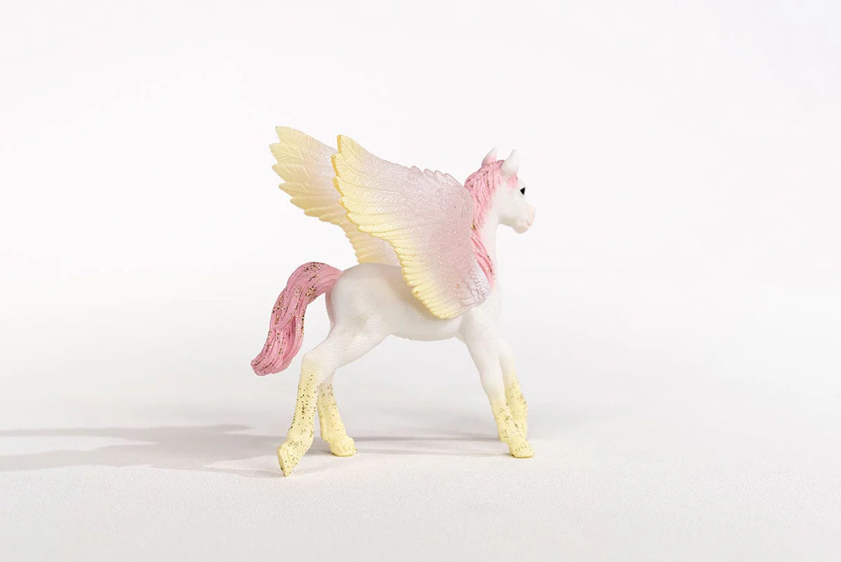 Pegasus wings on a white background