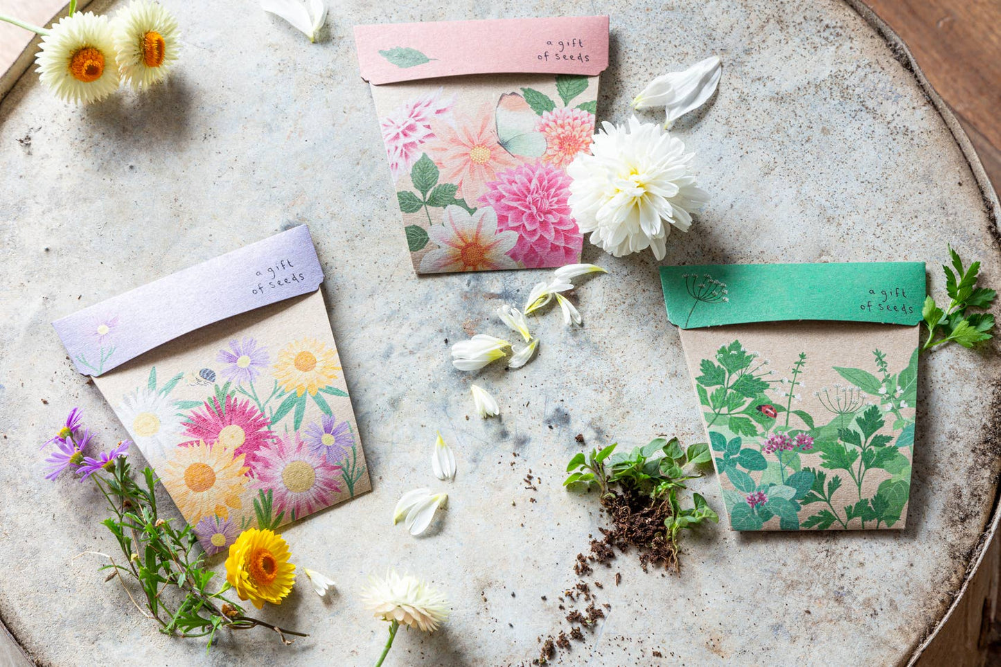 Native Daisies - Gift of Seeds
