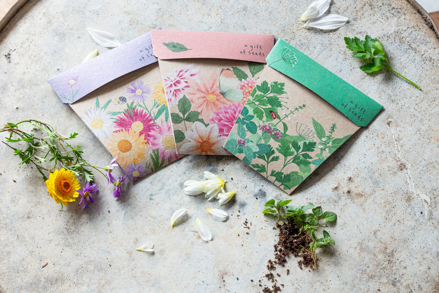 Native Daisies - Gift of Seeds