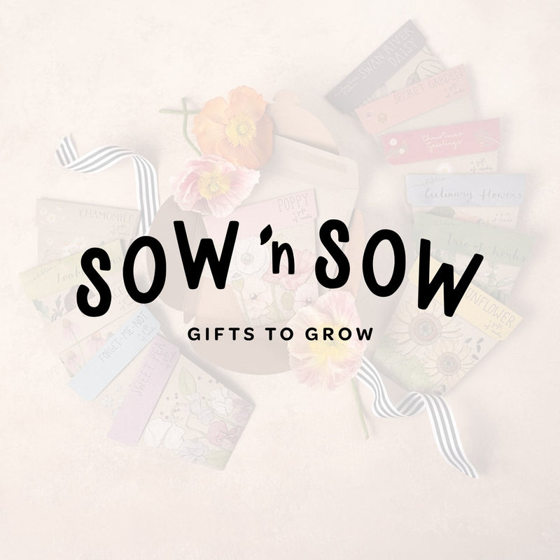 Sow 'n Sow