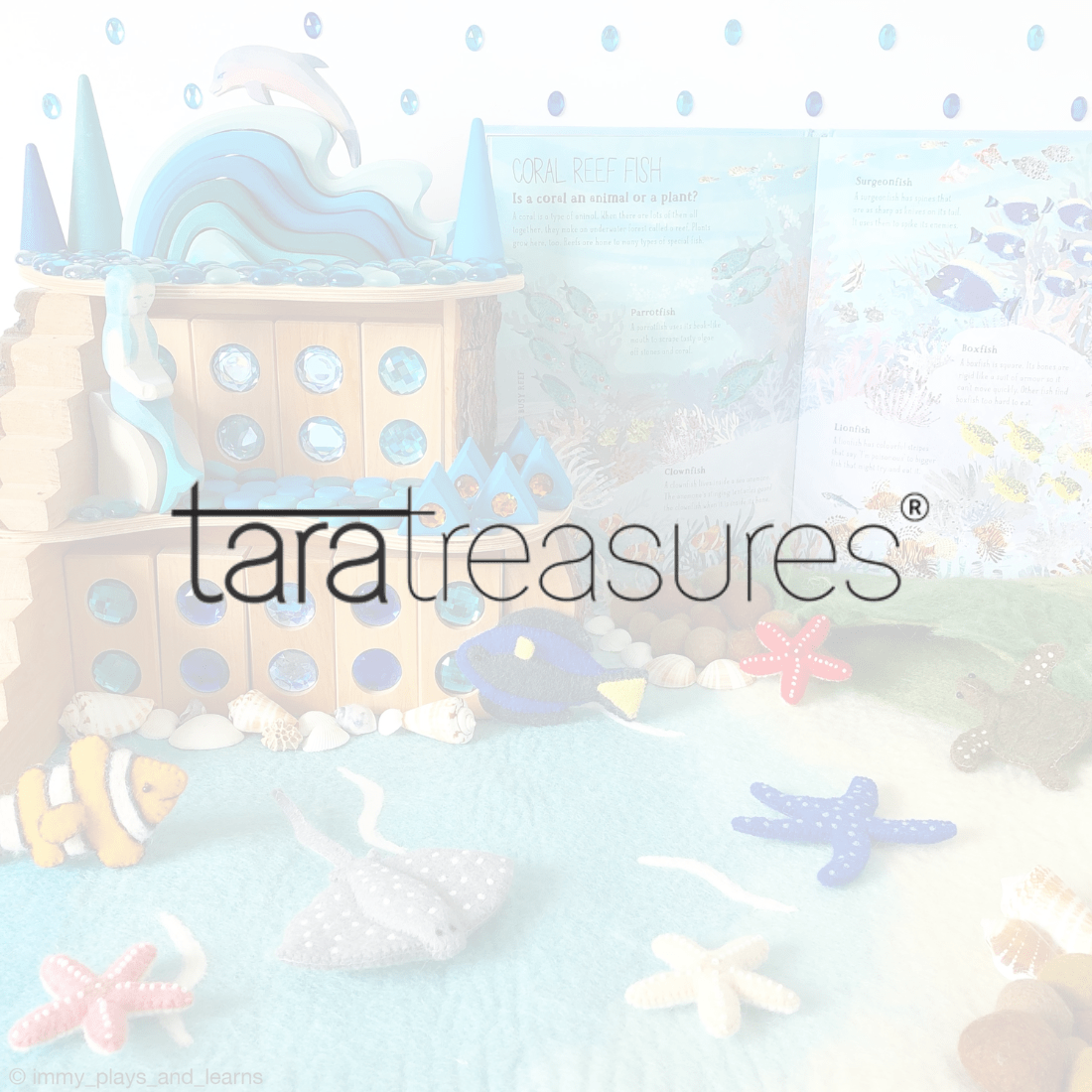 Tara Treasures Logo