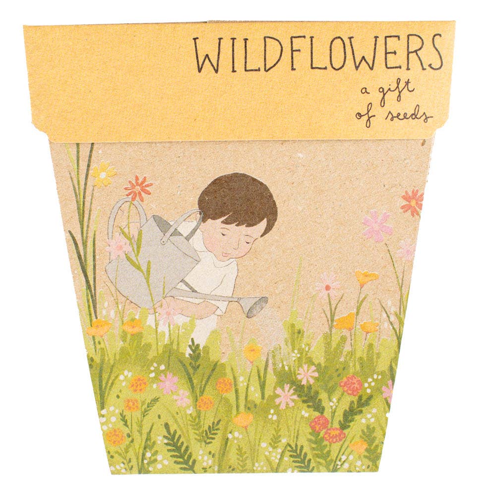 Wildflowers - Gift of Seeds