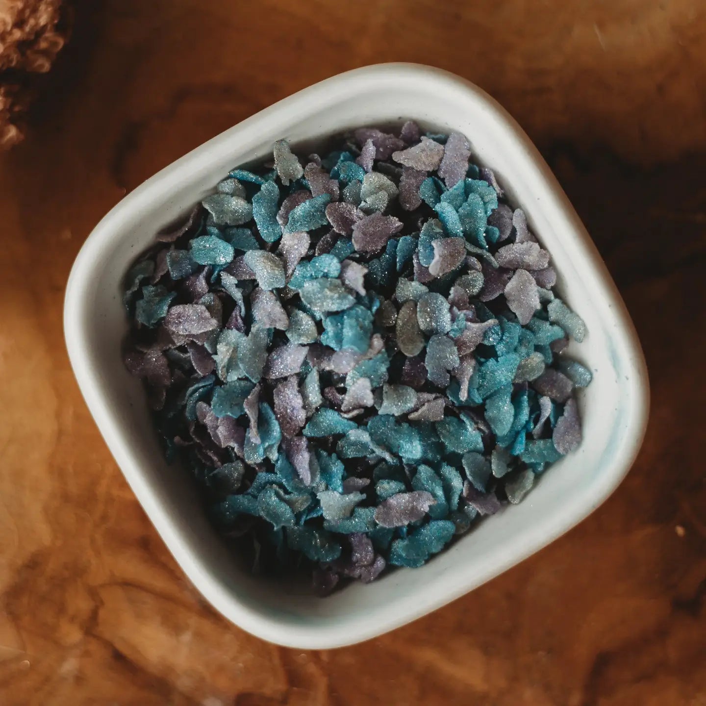 The Saltwater Collective | Iridescent Scales