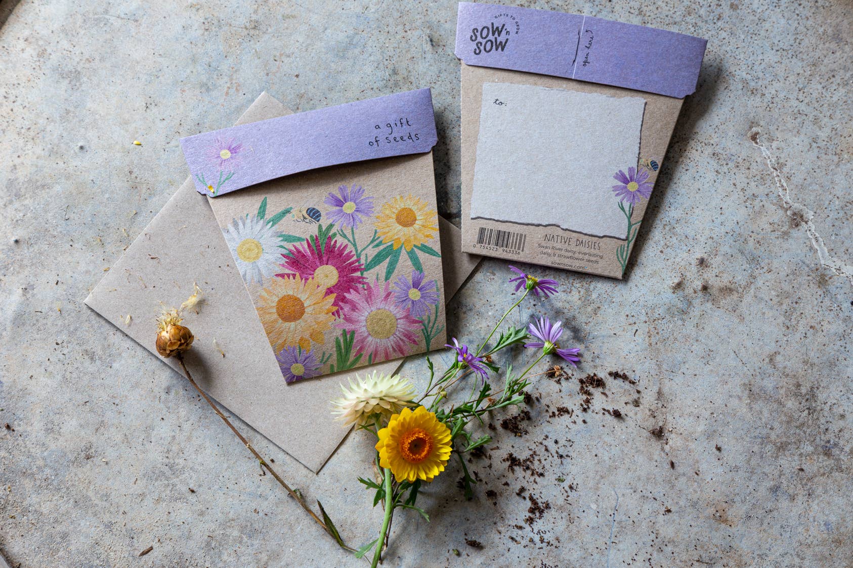 Native Daisies - Gift of Seeds