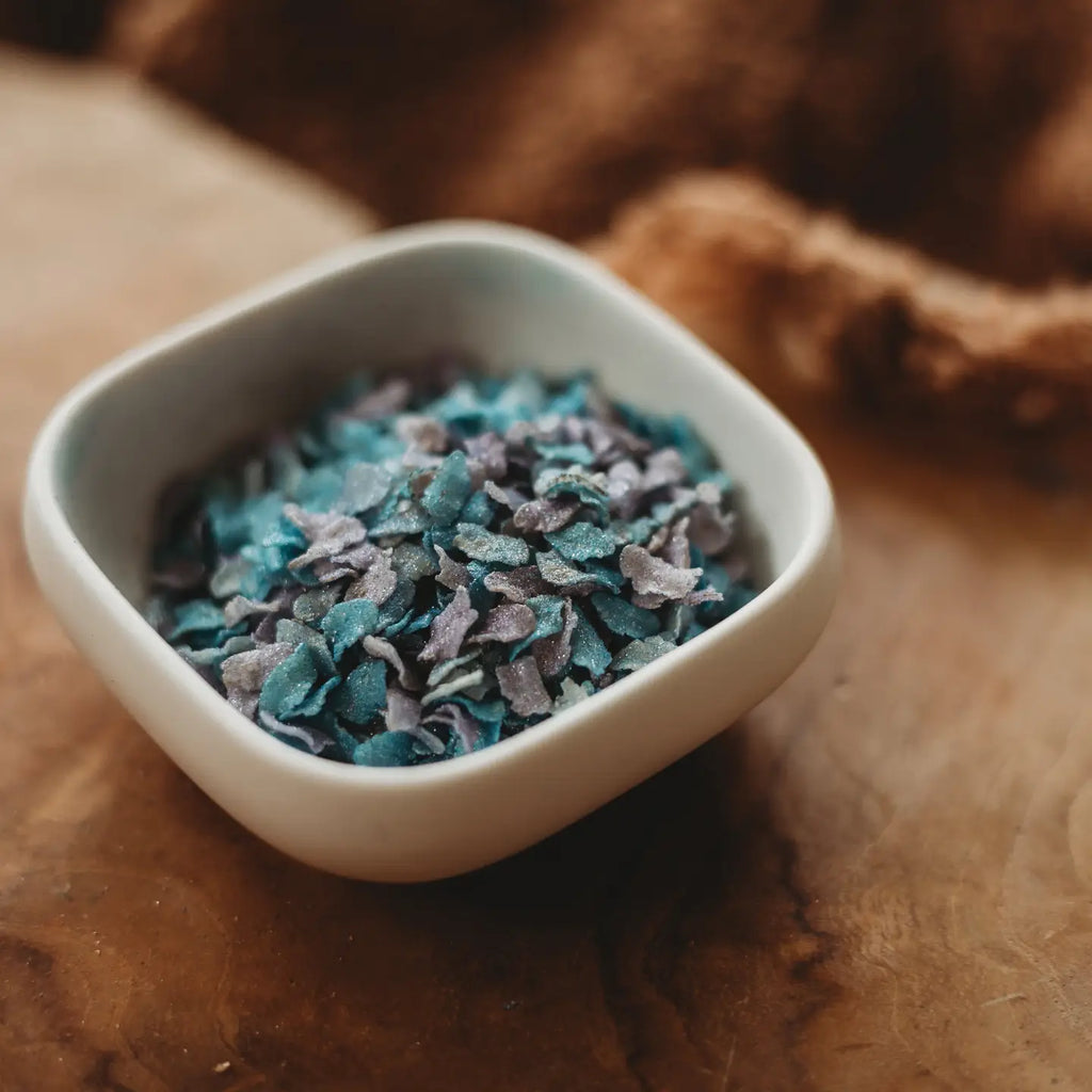 The Saltwater Collective | Iridescent Scales