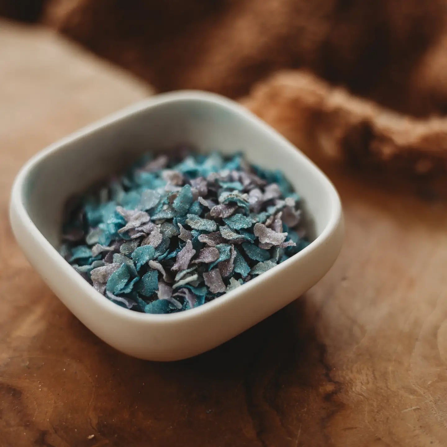 The Saltwater Collective | Iridescent Scales