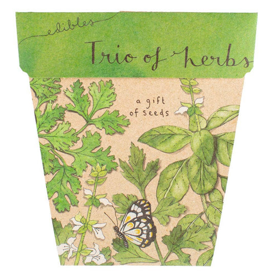 Trio of Herbs - Gift of Seeds