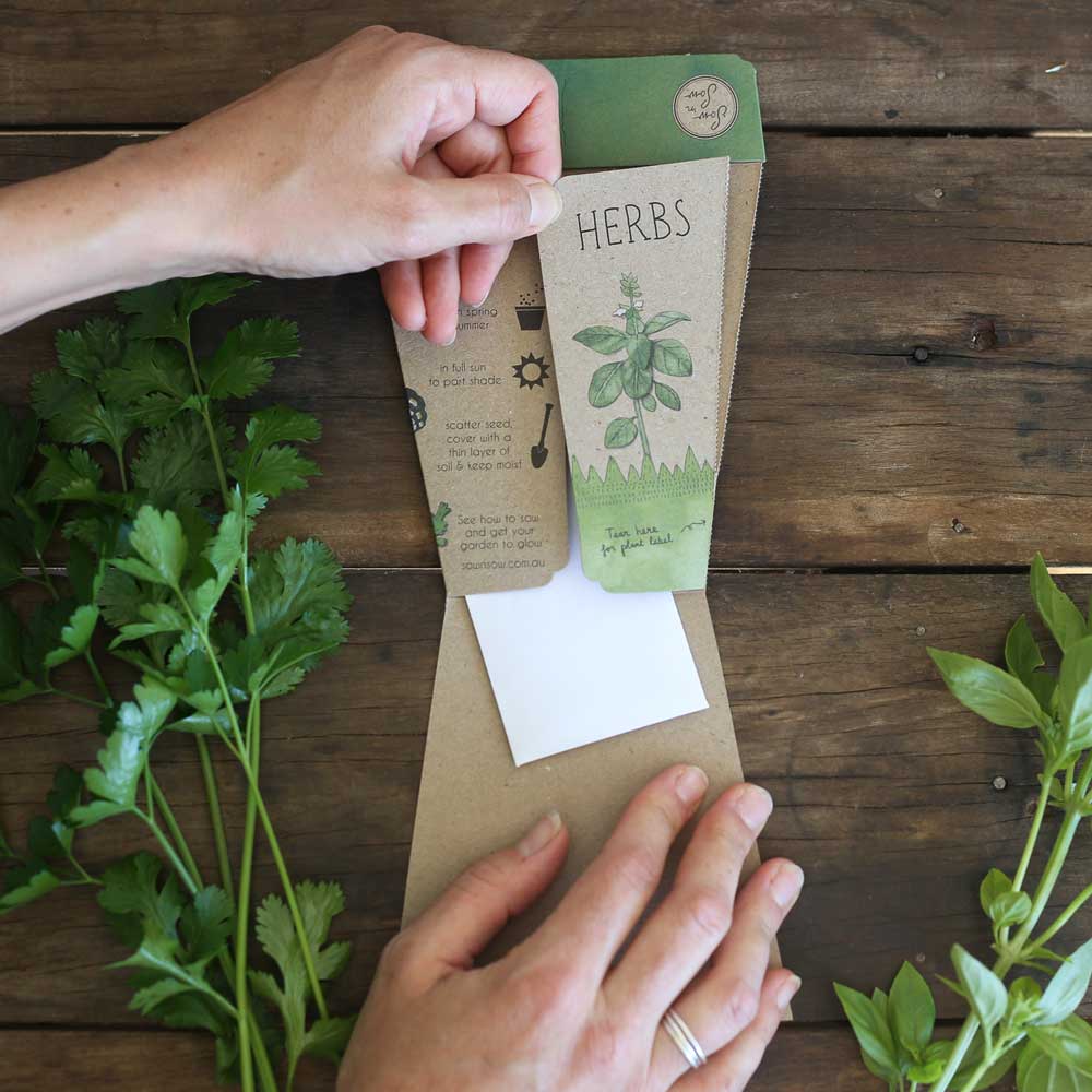 Trio of Herbs - Gift of Seeds