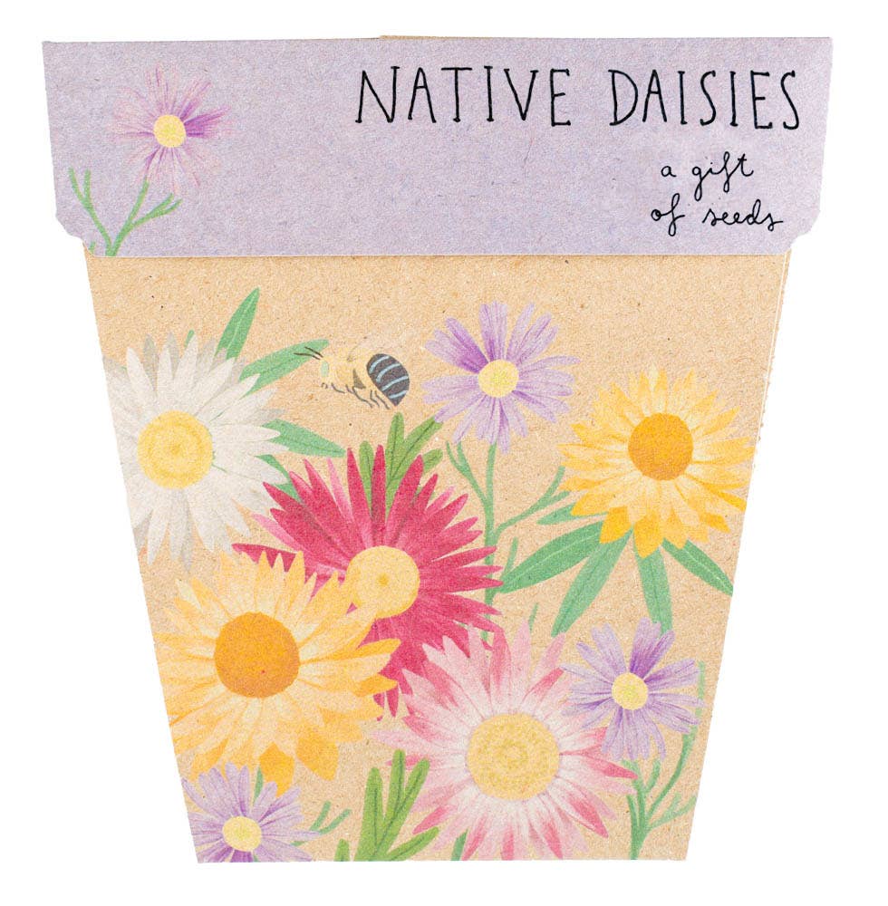 Native Daisies - Gift of Seeds