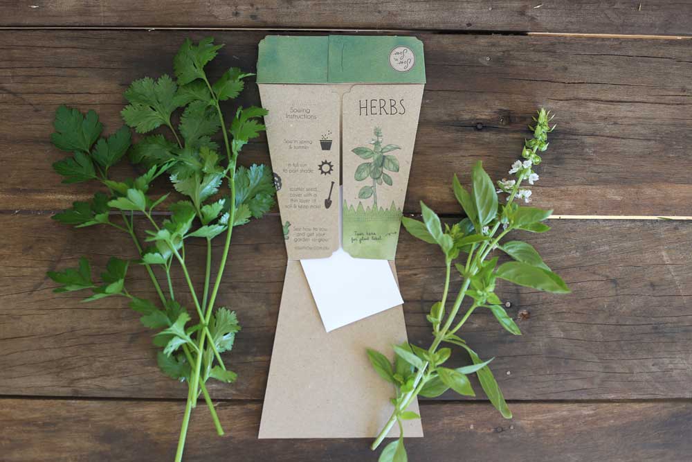 Trio of Herbs - Gift of Seeds