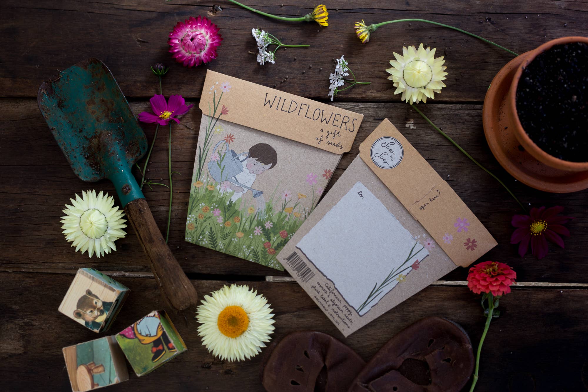 Wildflowers - Gift of Seeds