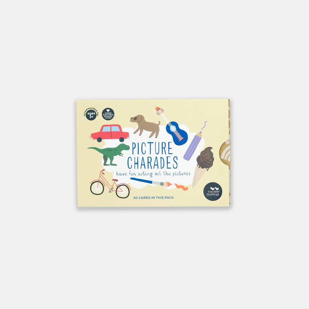 Picture Charades - Flash Cards