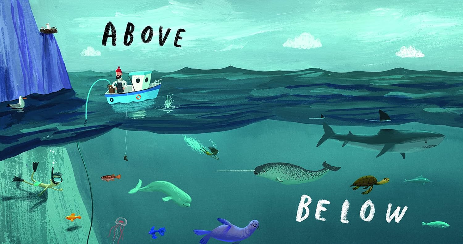 Here We Are - Book of Opposites (Board Book)
