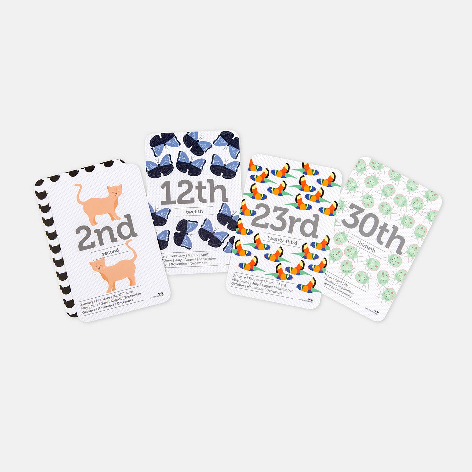 Dates of the Month - Flash Cards