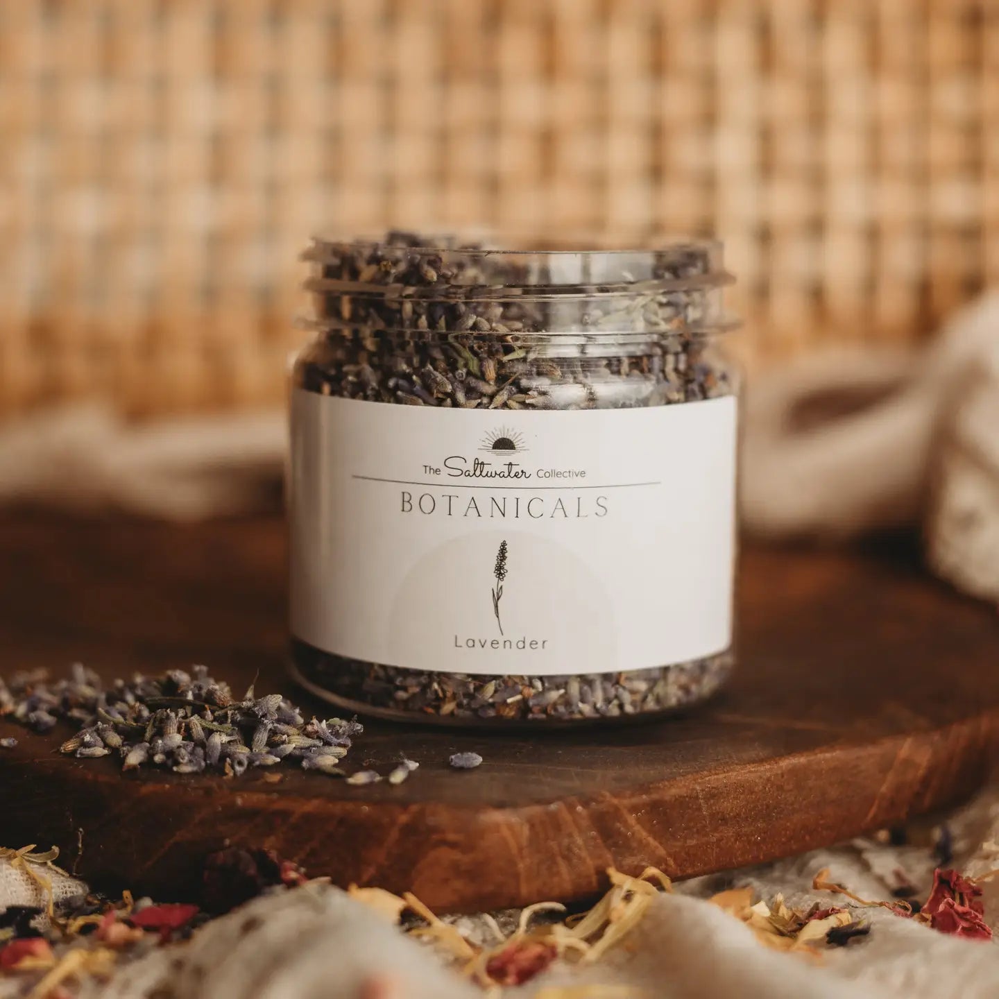 The Saltwater Collective | Botanicals (Small)