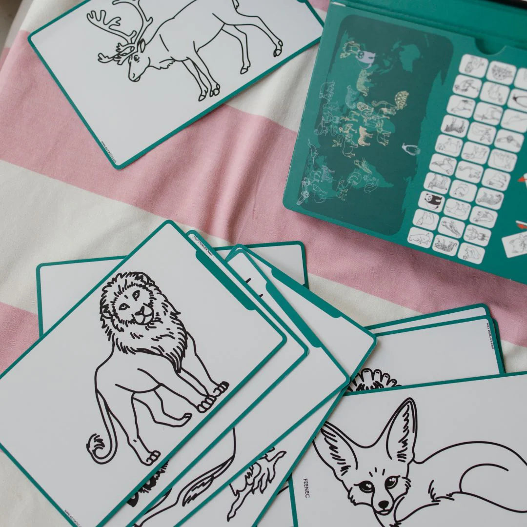 Educational animal cards with a lion illustration on a pink surface