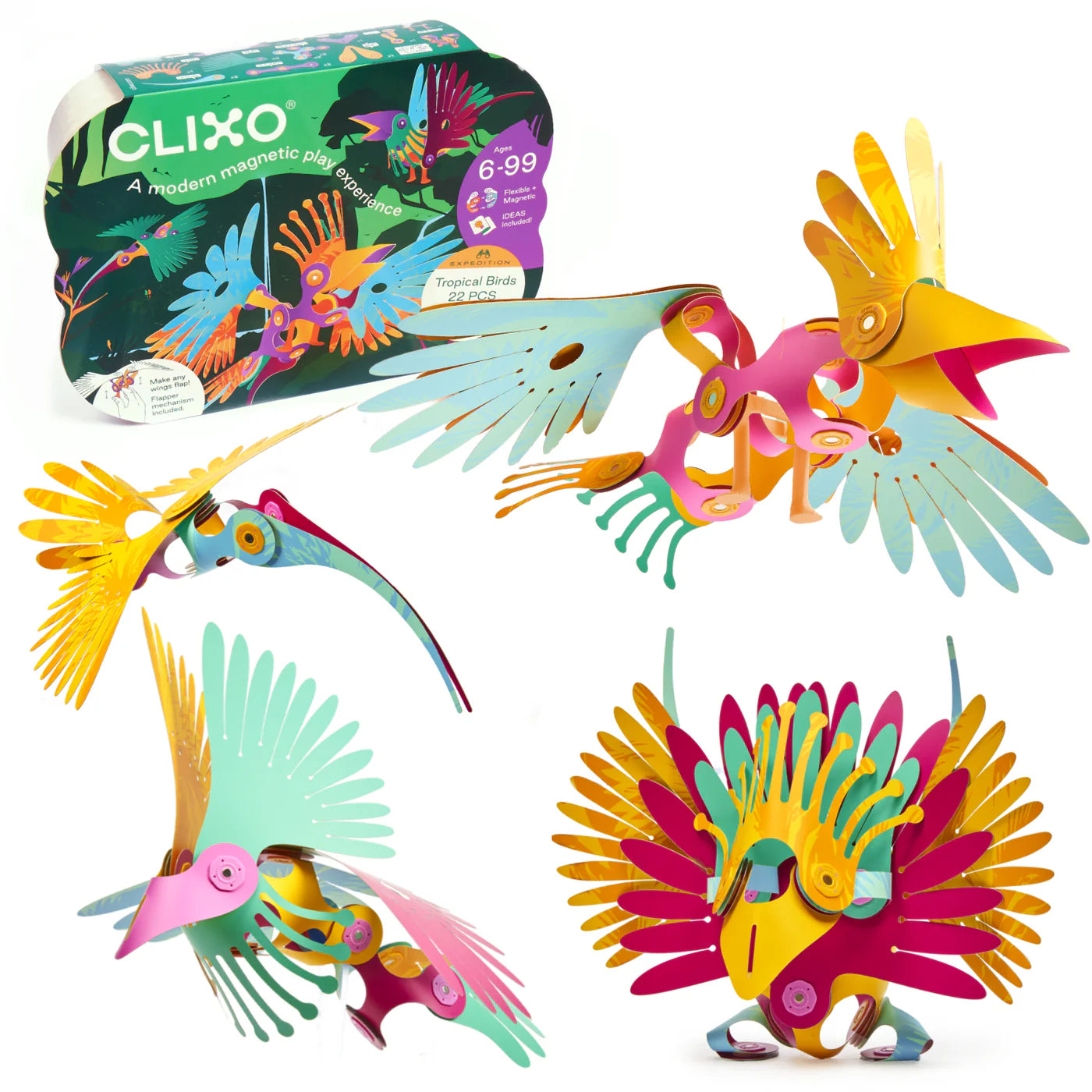 Colorful magnetic toy birds with packaging labeled 'Clixo' on a white background