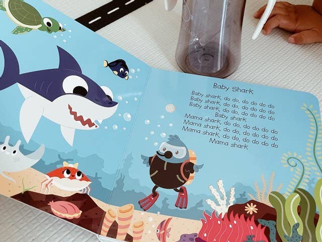Inside Ditty Bird - Animal Songs Board Book