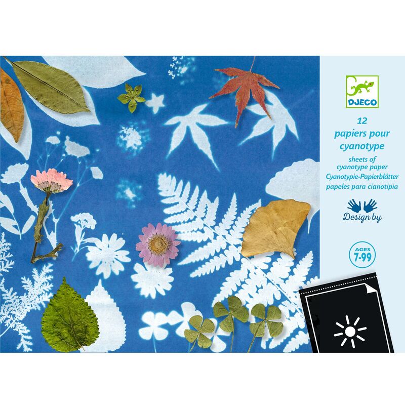 Djeco | Cyanotype Paper
