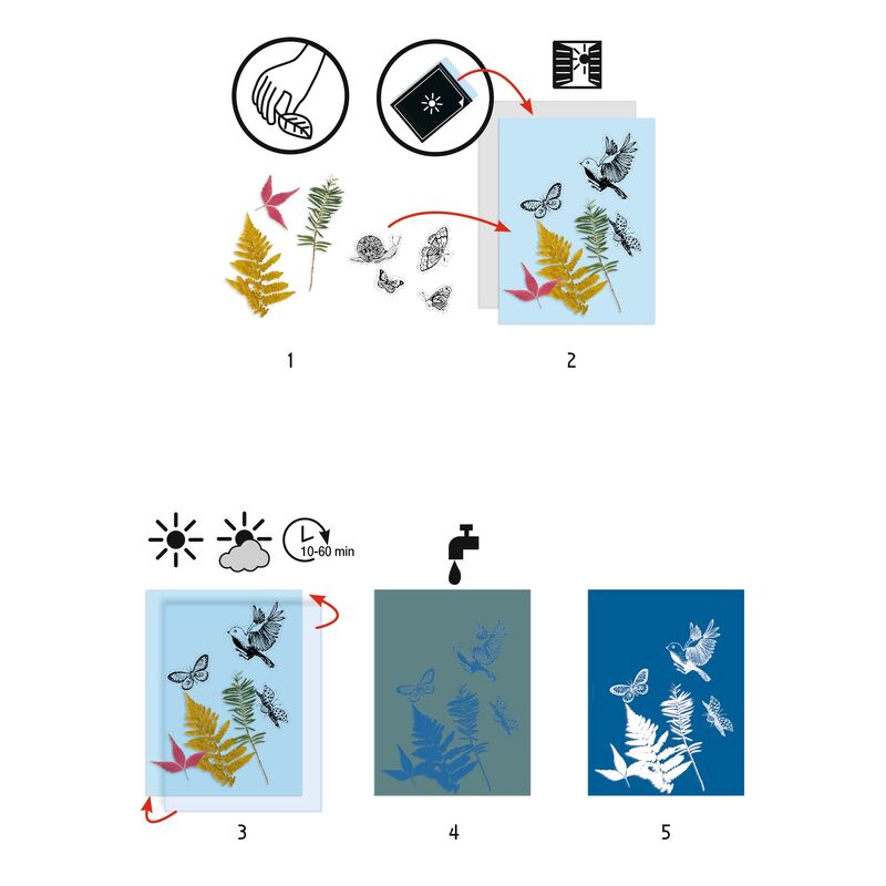 Djeco | Cyanotype Starter Kit