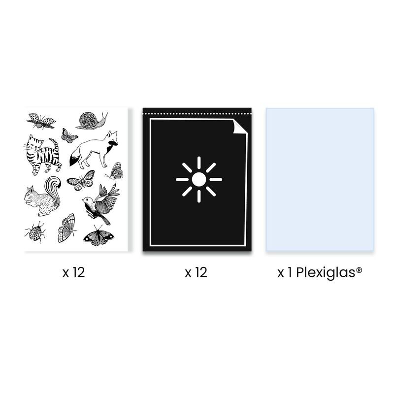 Djeco | Cyanotype Starter Kit