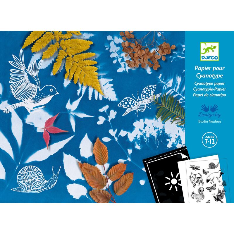 Djeco | Cyanotype Starter Kit