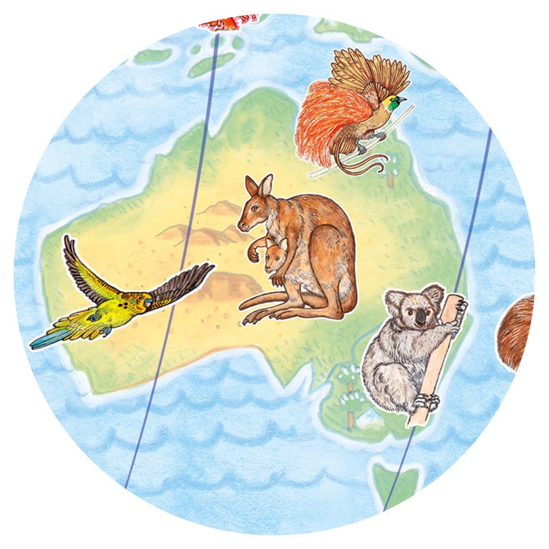 Map of Australia with illustrations of a kangaroo, koala, and parrots on a white background
