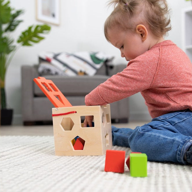 Child playing with a wooden shape sorter toy on a carpeted floor.