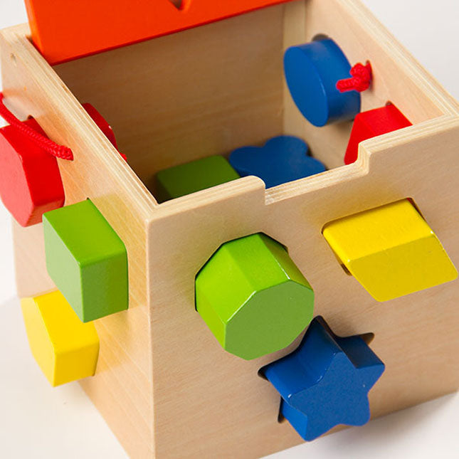 Wooden shape sorting toy with colorful blocks on a white background