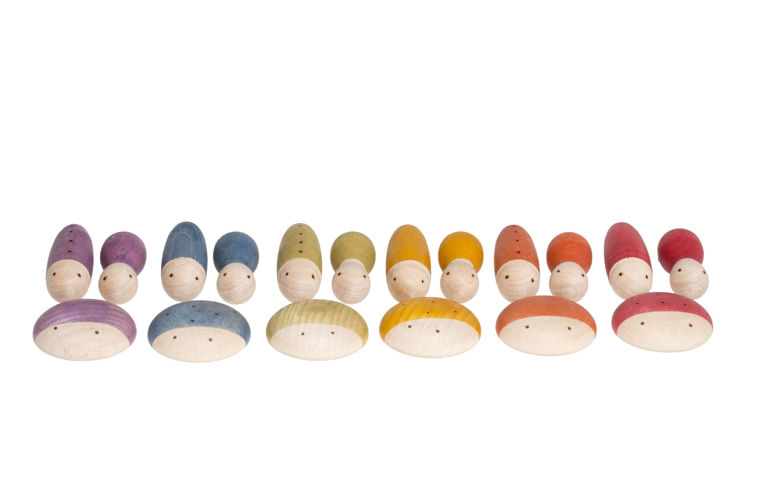 Set of colorful insects on a white background