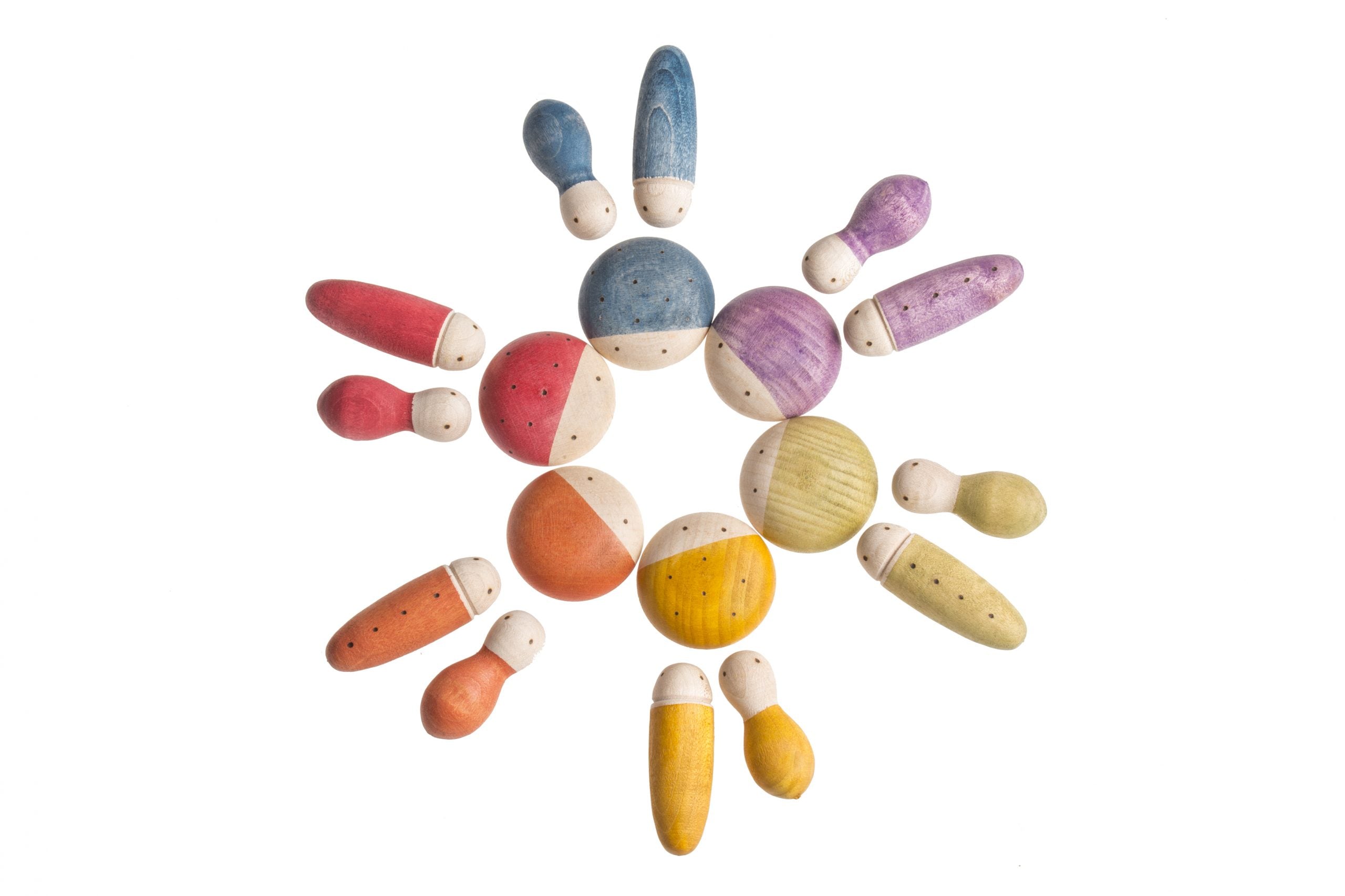 Colorful wooden insects on a white background