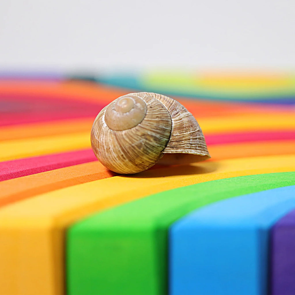 Snail on a colorful striped surface