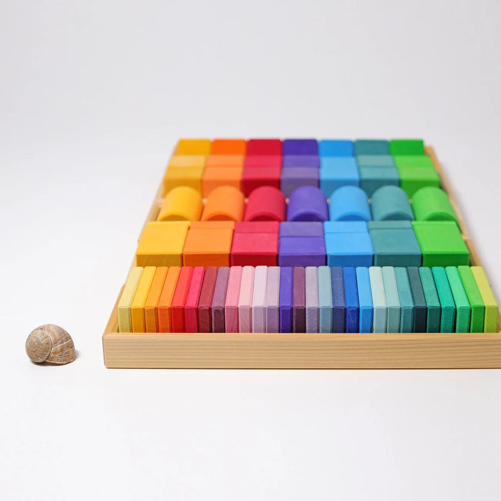 A wooden Montessori-style color and number block tray filled with rainbow-colored wooden blocks, photographed on a clean white background with a small seashell beside it.